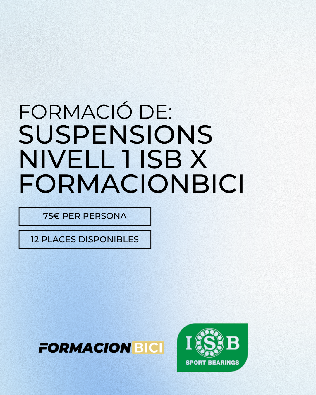 Formació suspensions nivell 1 ISB